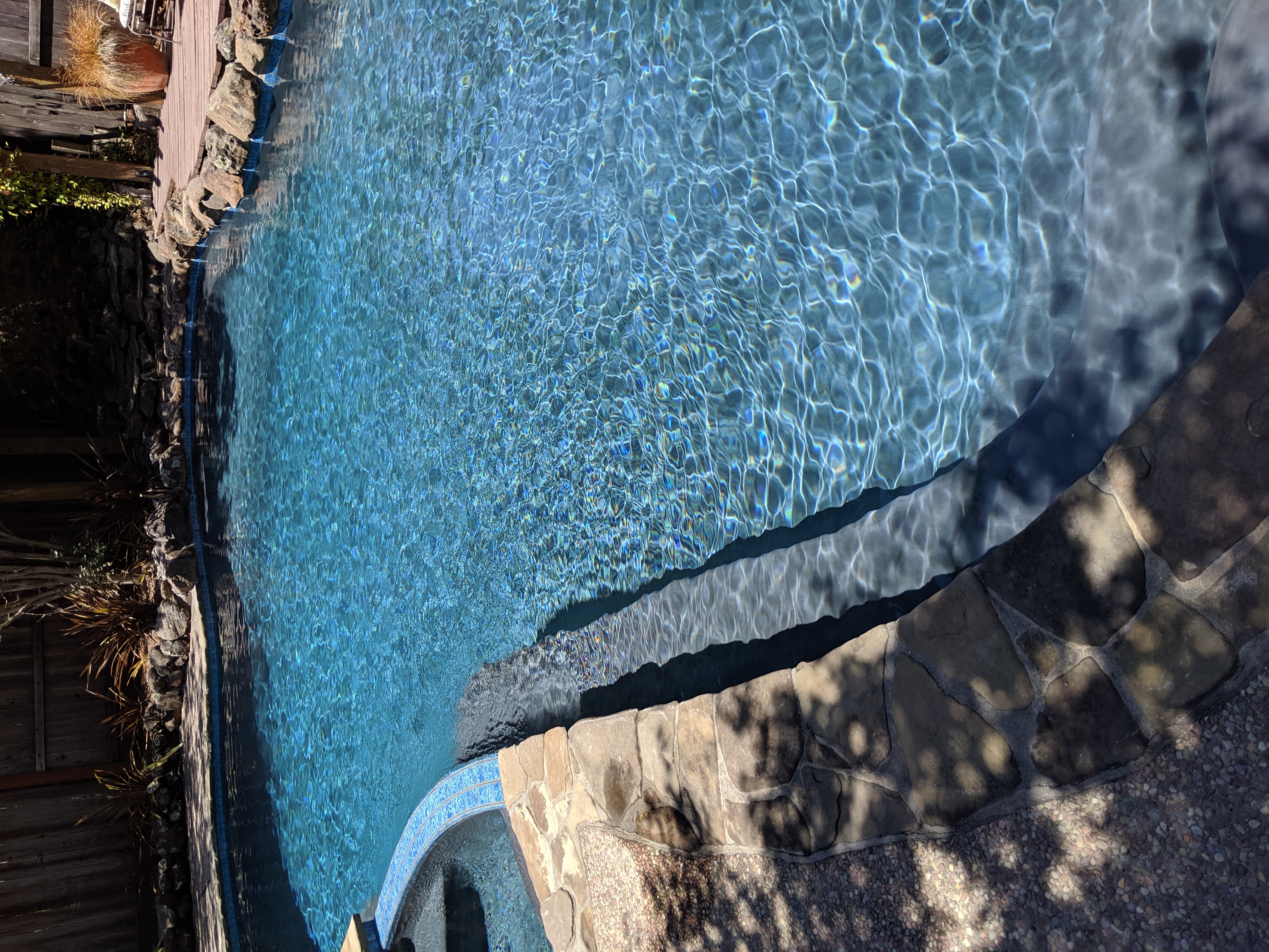 Medium Gray Plaster - North Bay Aquatics